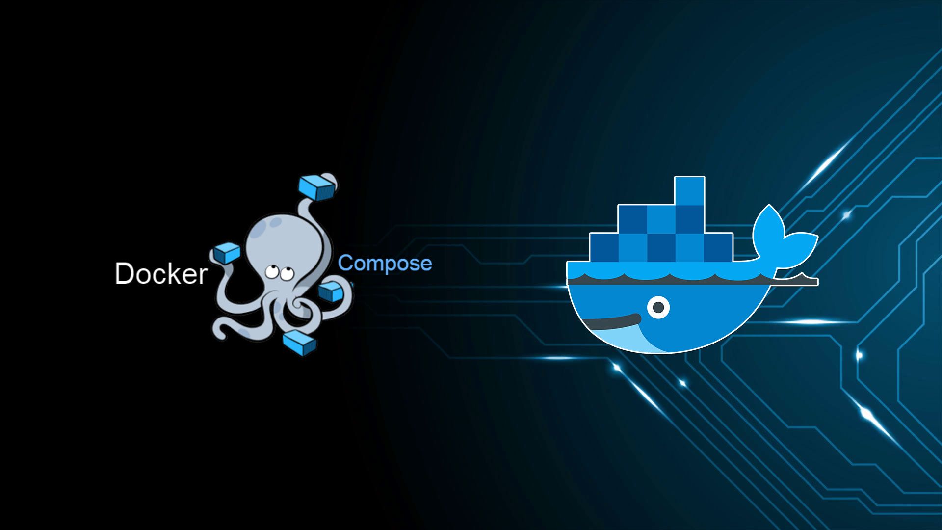 Managing Docker Volumes Using Docker Compose